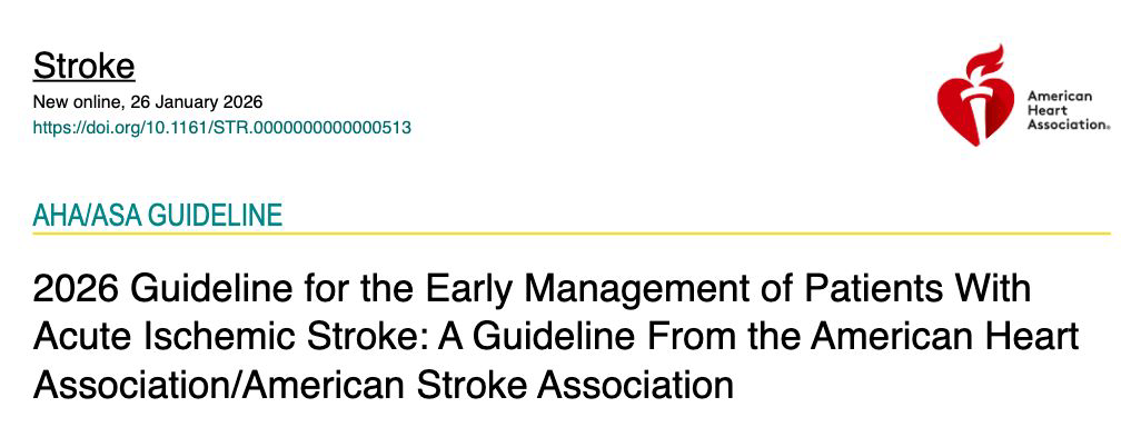 Stroke · AHA/ASA Guideline 2026
