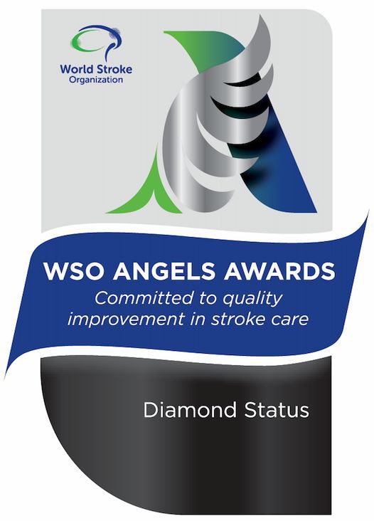 WSO Angels Award Diamond
